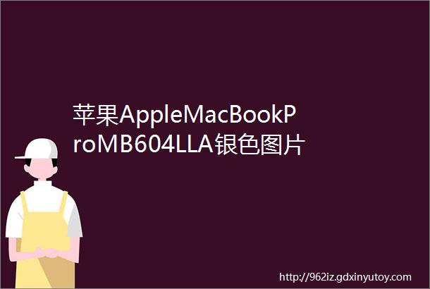 苹果AppleMacBookProMB604LLA银色图片